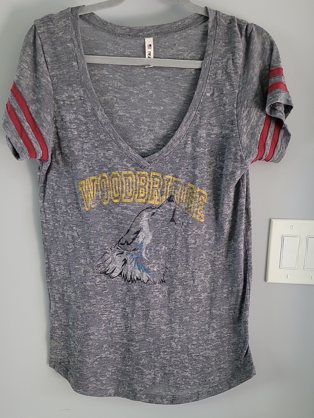 Realitee Clothing Gray V-Neck Tee with Pink Sleeve Stripes